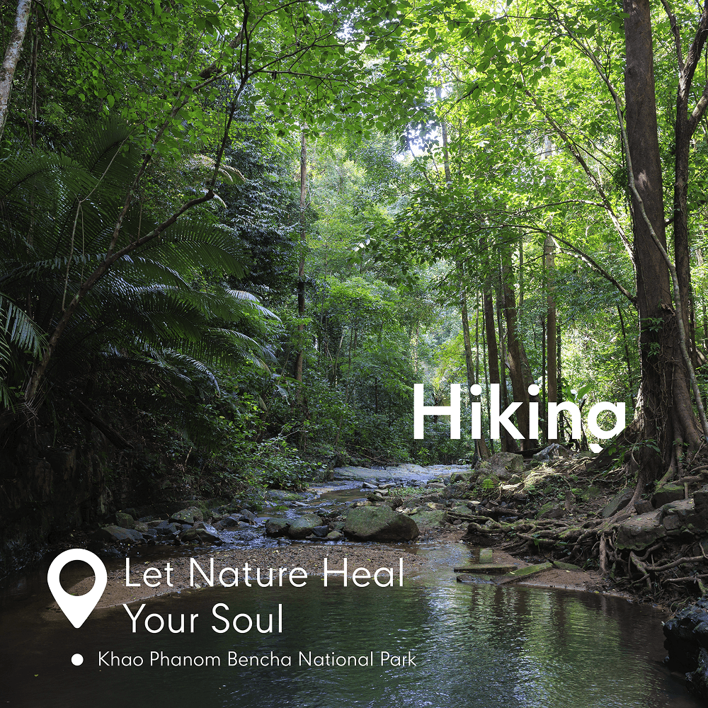 Let nature heal your soul